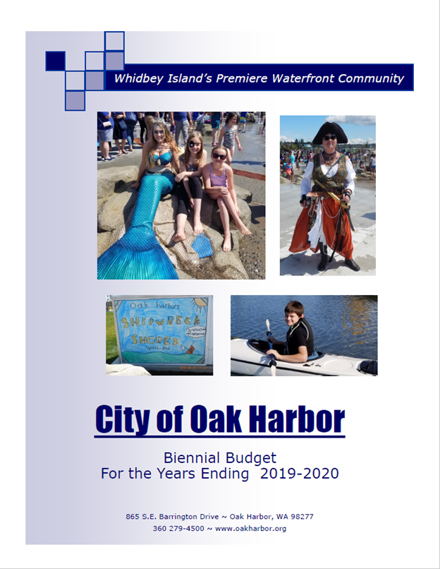 2019-2020 Budget Cover