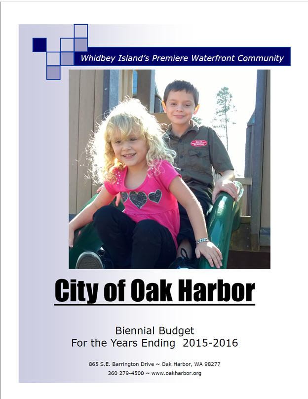 2015-2016 Budget Cover