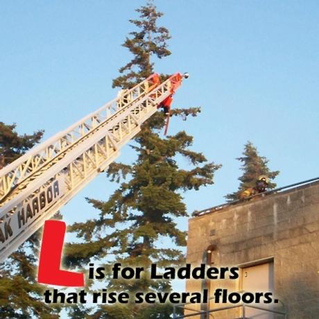 L is for Ladders