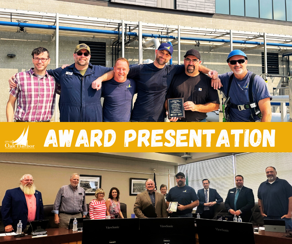 Staff receiving the CWF Award