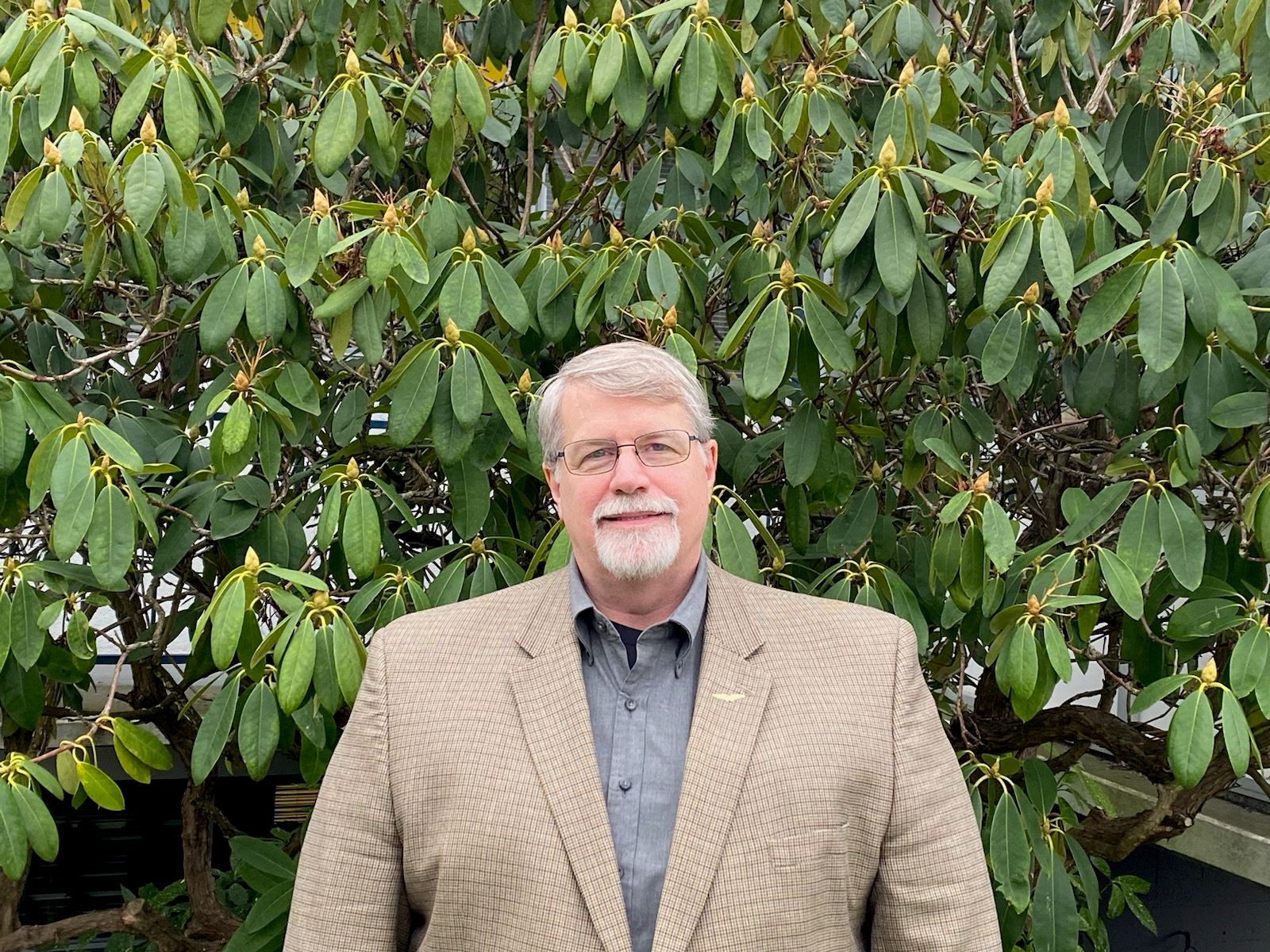 Photo of Stephen McCaslin