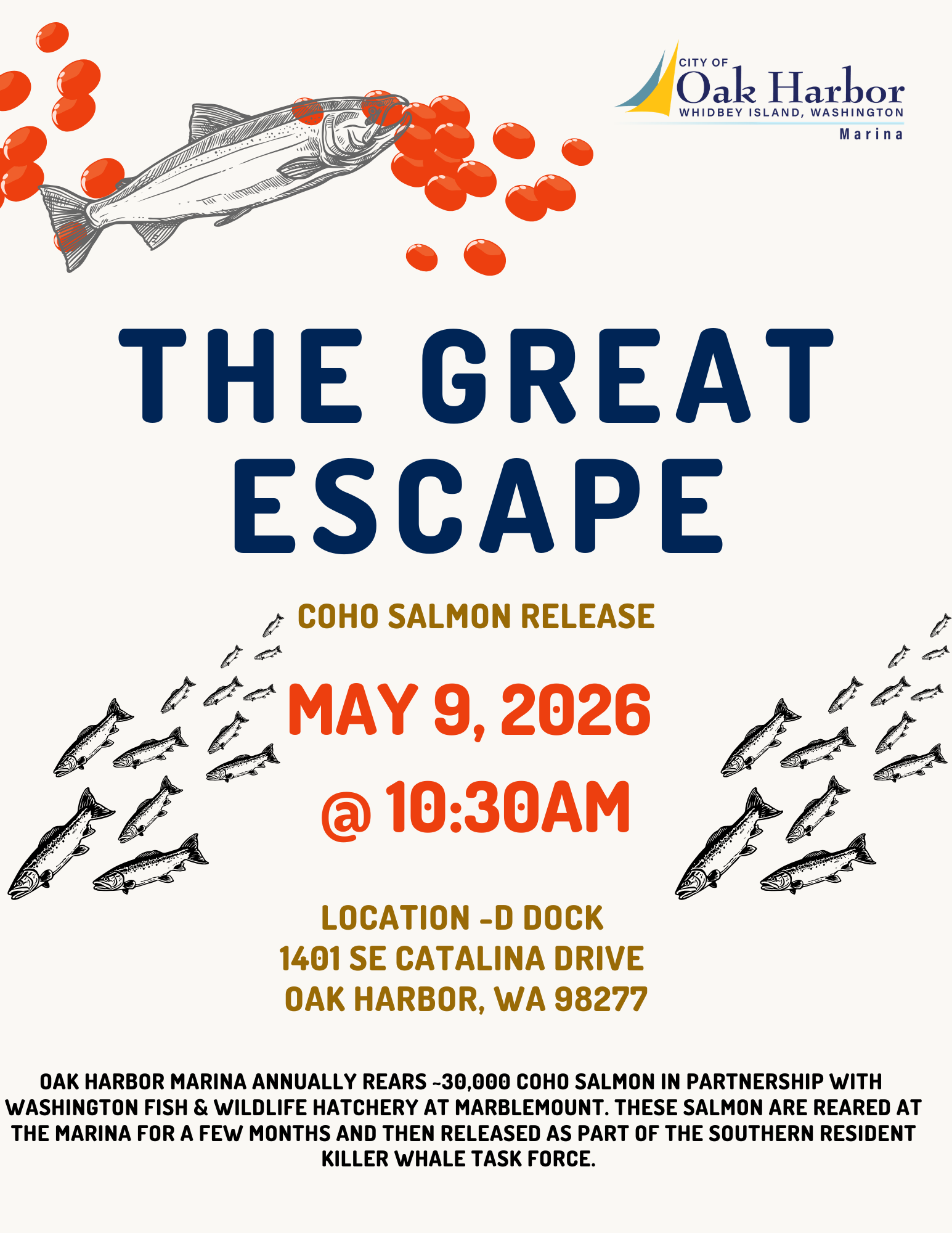 Coho Release Flyer 2026